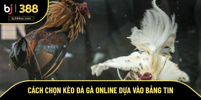 Hướng dẫn phân tích lịch sử cược Hướng dẫn phân tích lịch sử cược