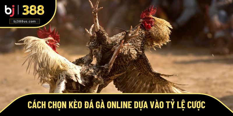 Nhận định kèo hay dựa vào bảng tỷ lệ Nhận định kèo hay dựa vào bảng tỷ lệ