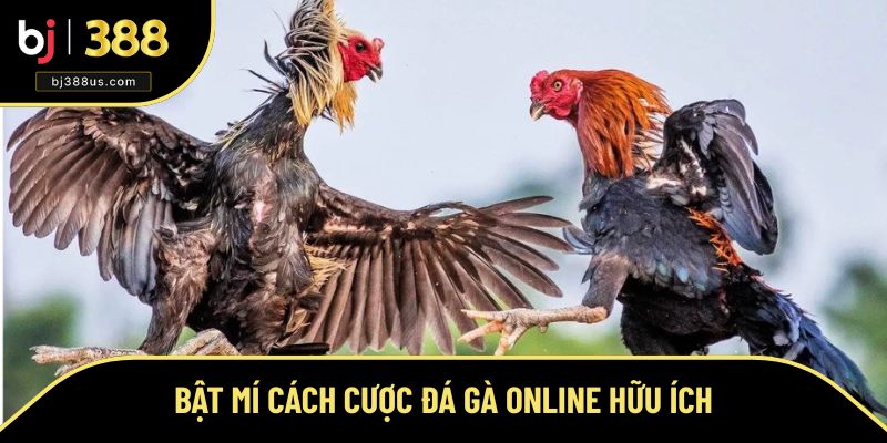 Chiến thuật chơi hữu ích bạn nên biết