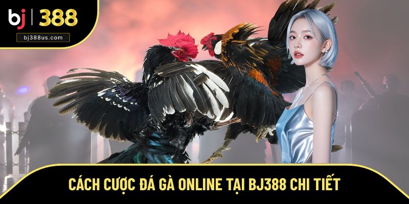 Cách Cược Đá Gà Online BJ388 - Hướng Dẫn Chi Tiết Các Bước
