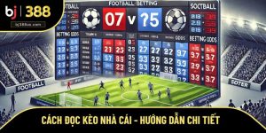 Cách Đọc Kèo Nhà Cái - Hướng Dẫn Chi Tiết Cho Cả Tân Thủ