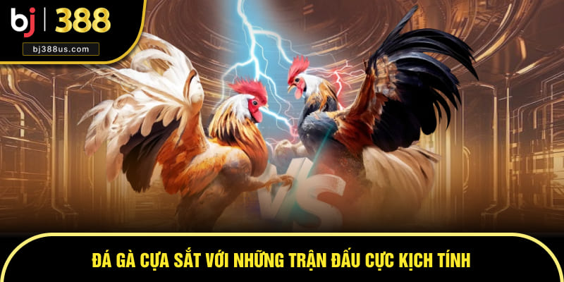 da-ga-cua-sat-bj388