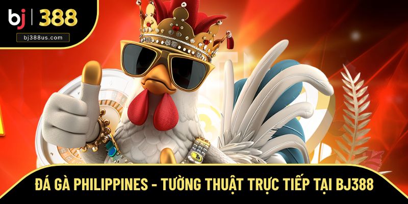 Đá Gà Philippines - Tường Thuật Trực Tiếp Chỉ Có Tại BJ388