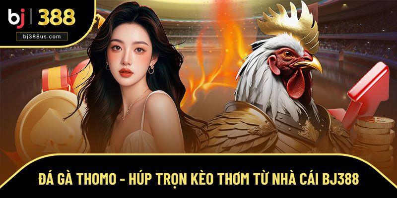 Đá Gà Thomo - Húp Trọn Kèo Thơm Từ Nhà Cái BJ388