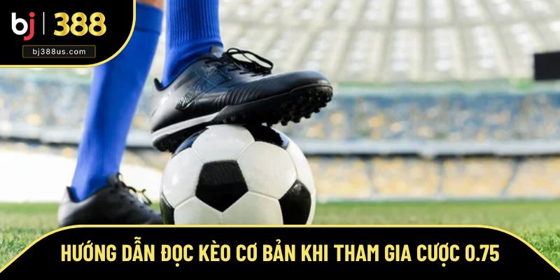 Tìm câu trả lời cho kèo bóng 0.75 là gì? Tìm câu trả lời cho kèo bóng 0.75 là gì?