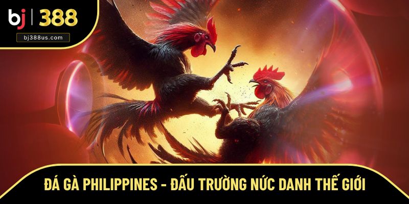Đấu trường Sabong nay đã vươn tầm thế giới Đấu trường Sabong nay đã vươn tầm thế giới