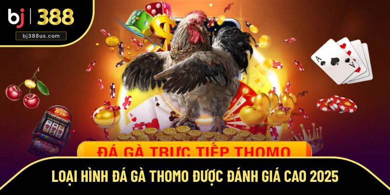 Tổng hợp các loại hình đá gà tại Thomo siêu hấp dẫn Tổng hợp các loại hình đá gà tại Thomo siêu hấp dẫn