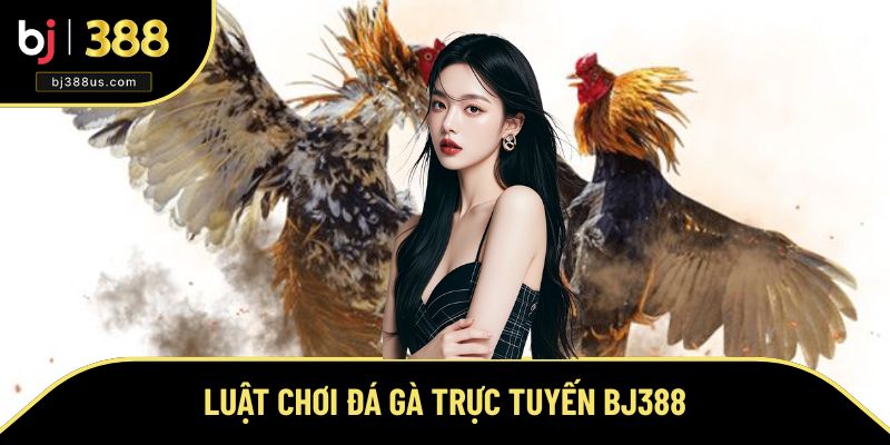 Luật Chơi Đá Gà Trực Tuyến BJ388 - Những Điều Bạn Cần Biết