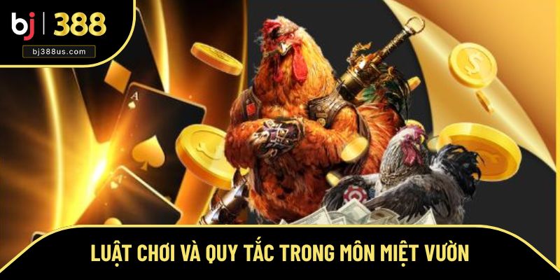 Luật chơi và quy tắc cần biết của trò đá gà Thomo Luật chơi và quy tắc cần biết của trò đá gà Thomo