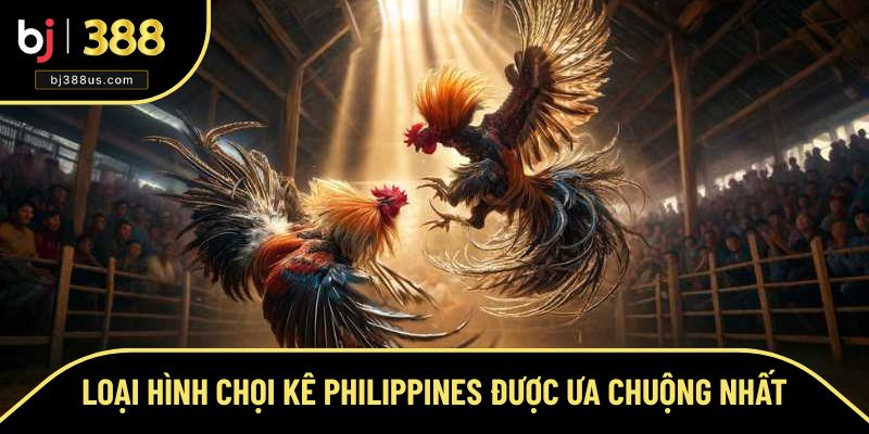 Loại hình chọi kê Philippines được ưa chuộng nhất Loại hình chọi kê Philippines được ưa chuộng nhất