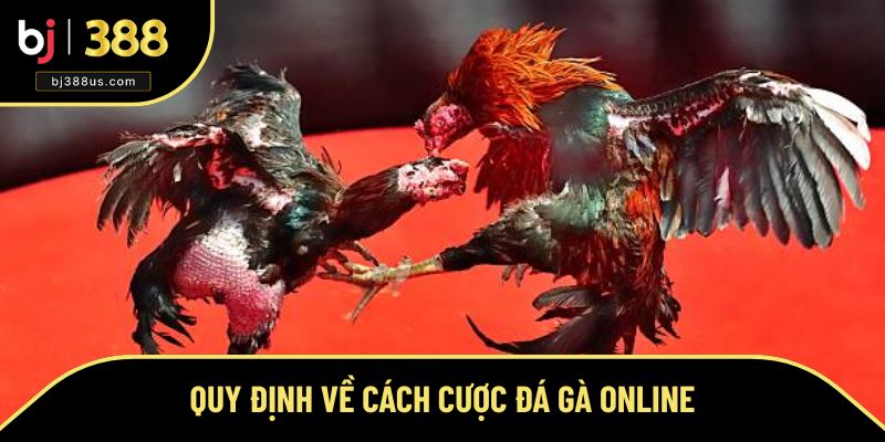 Những nguyên tắc cần biết khi chơi tại BJ388