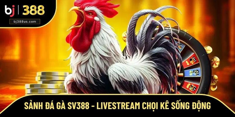 Sảnh Đá Gà SV388 - Livestream Chọi Kê Sống Động Nhất 2025