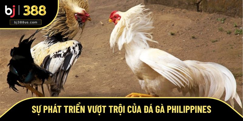 Sự phát triển vượt bậc cả về chất lượng lẫn số lượng của SV388 Sự phát triển vượt bậc cả về chất lượng lẫn số lượng của SV388