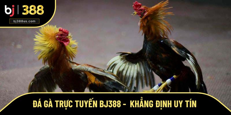 Thương hiệu đá gà trực tuyến BJ388 được PAGCOR cấp phép